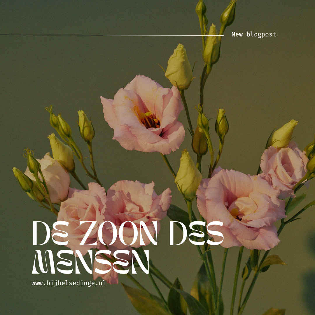 De Zoon des mensen Wandelen met Jezus